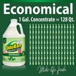 Show in main carousel: OdoBan Disinfectant Laundry & Air Freshener Concentrate, Eucalyptus Scent, 1-gal bottle slide 5 of 10