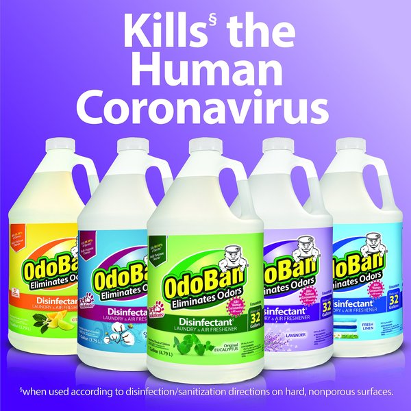 Show full view: OdoBan Disinfectant Laundry & Air Freshener Concentrate, Eucalyptus Scent, 1-gal bottle slide 6 of 10