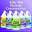 Show in main carousel: OdoBan Disinfectant Laundry & Air Freshener Concentrate, Eucalyptus Scent, 1-gal bottle slide 6 of 10