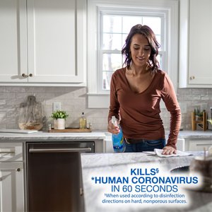 OdoBan Ready-to-Use Fresh Linen Disinfectant Spray, 32-fl oz bottle