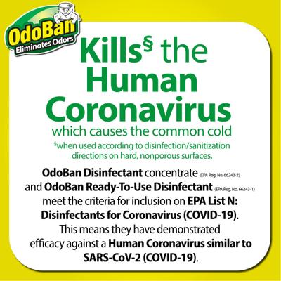 Show full view: OdoBan Ready-to-Use Lemon Disinfectant Spray, 32-fl oz bottle slide 3 of 6