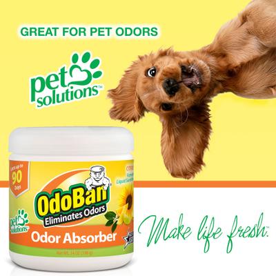 Show full view: OdoBan Solid Odor Absorber Citrus Deodorizer, 14-oz jar slide 5 of 5