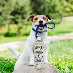 OdorXit Concentrate Odor Remover, 16-fl oz bottle slide 2 of 3