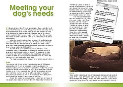 Office Dogs: The Manual slide 2 of 3