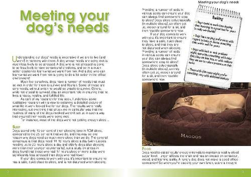 Show full view: Office Dogs: The Manual slide 2 of 3