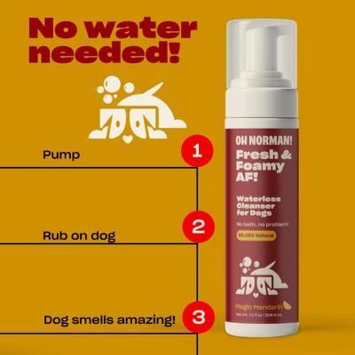 Show full view: OH NORMAN Fresh & Foamy AF, 7.1-fl oz bottle slide 2 of 11