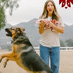 OH NORMAN KEEP EFFING MOVING! Joint Supplement for Dogs, 1-fl oz bottle slide 2 of 9