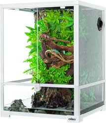 OiiBO Reptile Glass Terrarium, White, 32-gal