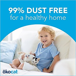 Okocat Original Premium Wood Clumping Cat Litter, 18.8-lb bag