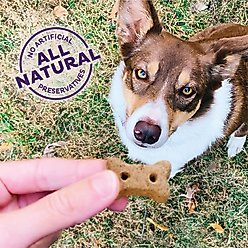 Old Mother Hubbard by Wellness Classic Just Vegg'N Natural Mini Oven-Baked Biscuits Dog Treats, 20-oz bag slide 2 of 9