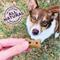 Show in main carousel: Old Mother Hubbard by Wellness Classic P-Nuttier 'N Nanners Grain-Free Mini Oven-Baked Biscuits Dog Treats, 16-oz bag slide 3 of 11