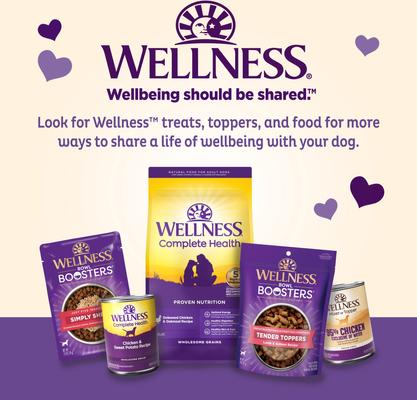 Show full view: Old Mother Hubbard by Wellness Classic P-Nuttier Natural Large Oven-Baked Biscuits Dog Treats, 6-lb box slide 7 of 11