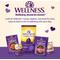 Show in main carousel: Old Mother Hubbard by Wellness Classic Savory Mix Natural Mini Oven-Baked Biscuits Dog Treats, 20-oz bag slide 6 of 13