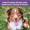 Show in main carousel: Old Mother Hubbard by Wellness Mother's Solutions Minty Fresh Breath Natural Oven-Baked Biscuits Dog Treats, 20-oz bag slide 4 of 11