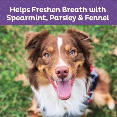 Show full view: Old Mother Hubbard by Wellness Mother's Solutions Minty Fresh Breath Natural Oven-Baked Biscuits Dog Treats, 20-oz bag slide 4 of 11