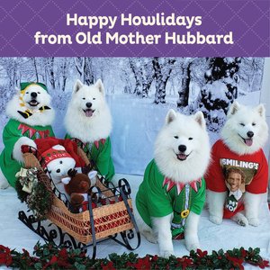 Old Mother Hubbard Winter Fun P-Nuttier Crunchy Dog Treats, 1-lb bag