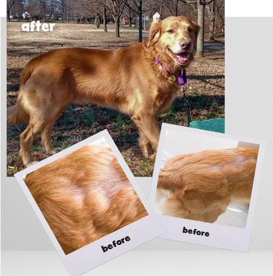 Show full view: Omega-Caps HP Snip Tips for Medium & Large Dogs, 60 count slide 5 of 12