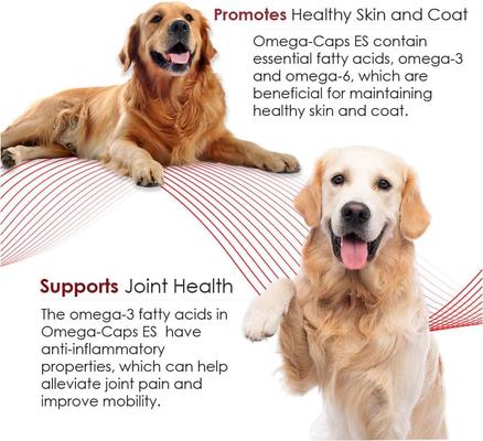 Show full view: Omega-Caps Extra Strength Skin Coat Joint Heart & Immune Health Softgel Capsules for Large Dogs, 250 count slide 5 of 12