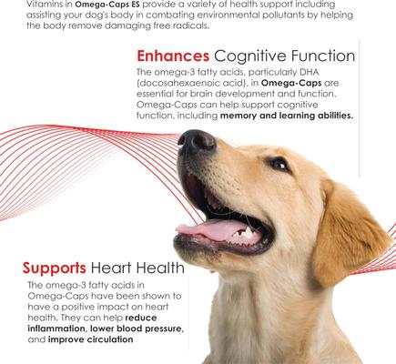 Show full view: Omega-Caps Extra Strength Skin Coat Joint Heart & Immune Health Softgel Capsules for Large Dogs, 250 count slide 6 of 12