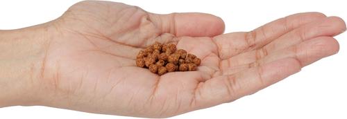 Show full view: Omega One Medium Cichlid Pellets Floating Fish Food, 6.5-oz jar slide 4 of 5