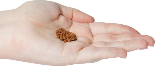 Show full view: Omega One Super Color Cichlid Pellets Sinking Fish Food, 20-oz jar slide 4 of 5