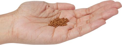 Show full view: Omega One Super Color Sinking Pellets Tropical Fish Food, 8-oz jar slide 4 of 5