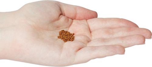 Show full view: Omega One Super Color Small Cichlid Pellets Sinking Fish Food, 16.25-oz jar slide 4 of 6