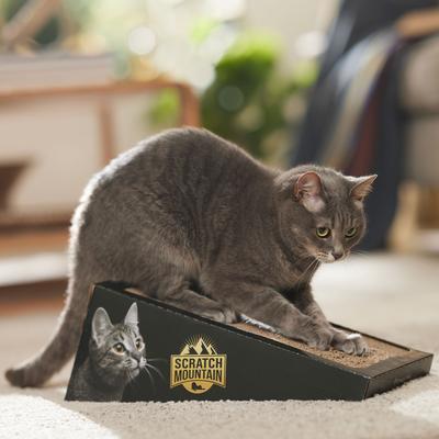 Show full view: Omega Paw Cat Scratching Mountain, Black slide 2 of 3