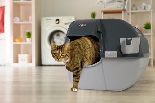 Show full view: Omega Paw Easy Fill Roll 'n Clean Cat Litter Box, Regular slide 4 of 7