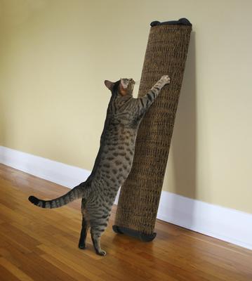 Show full view: Omega Paw Lean-It Anywhere Cat Scratch Post, Wide, 38-in slide 2 of 10