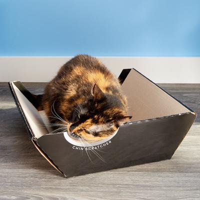 Show full view: Omega Paw Ripple Board Scratch Massage Cat Bed slide 5 of 7