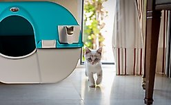 Omega Paw Roll 'n Clean Self Cleaning Cat Litter Box, Sky Blue, Large