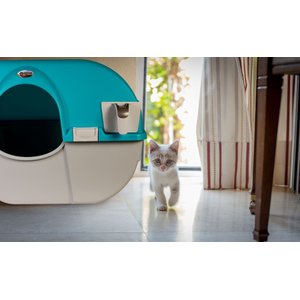 Omega Paw Roll 'n Clean Self Cleaning Cat Litter Box, Sky Blue, Large