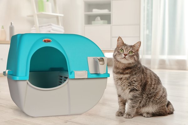Omega Paw Roll 'n Clean Self Cleaning Cat Litter Box, Sky Blue