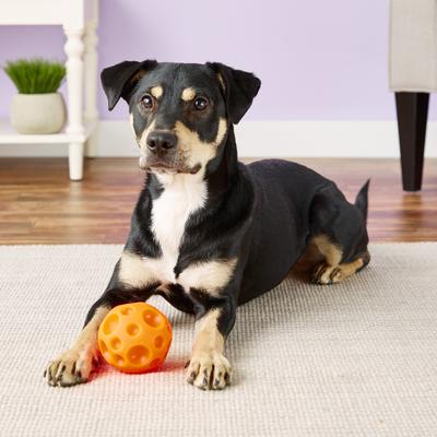 Show full view: Omega Paw Tricky Treat Ball Dog Toy, Medium slide 4 of 6