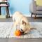 Show in main carousel: Omega Paw Tricky Treat Ball Dog Toy, Small slide 3 of 5
