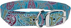 OmniPet Paisley Leather Dog Collar, Turquoise, 20-in
