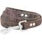 Show in main carousel: OmniPet Paisley Leather Dog Leash, Chocolate, 4-ft, 3/4-in slide 1 of 8