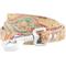 Show in main carousel: OmniPet Paisley Leather Dog Leash, Sand, 4-ft, 3/4-in slide 1 of 8