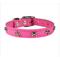 Show in main carousel: OmniPet Signature Leather Bone Dog Collar, Pink, Size 12: 8 to 10-in slide 1 of 6