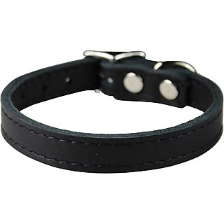 OmniPet Signature Leather Dog Collar, Black, 12-in slide 2 of 3