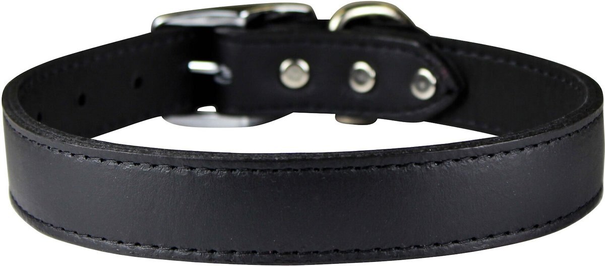 OmniPet Signature Leather Dog Collar