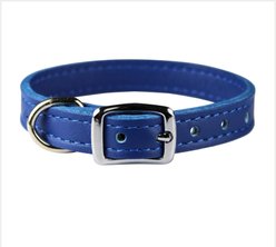OmniPet Signature Leather Dog Collar, Blue, 14-in