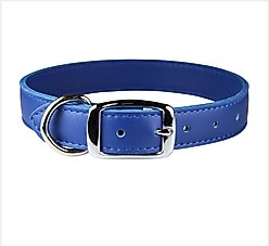 OmniPet Signature Leather Dog Collar, Blue, 22-in