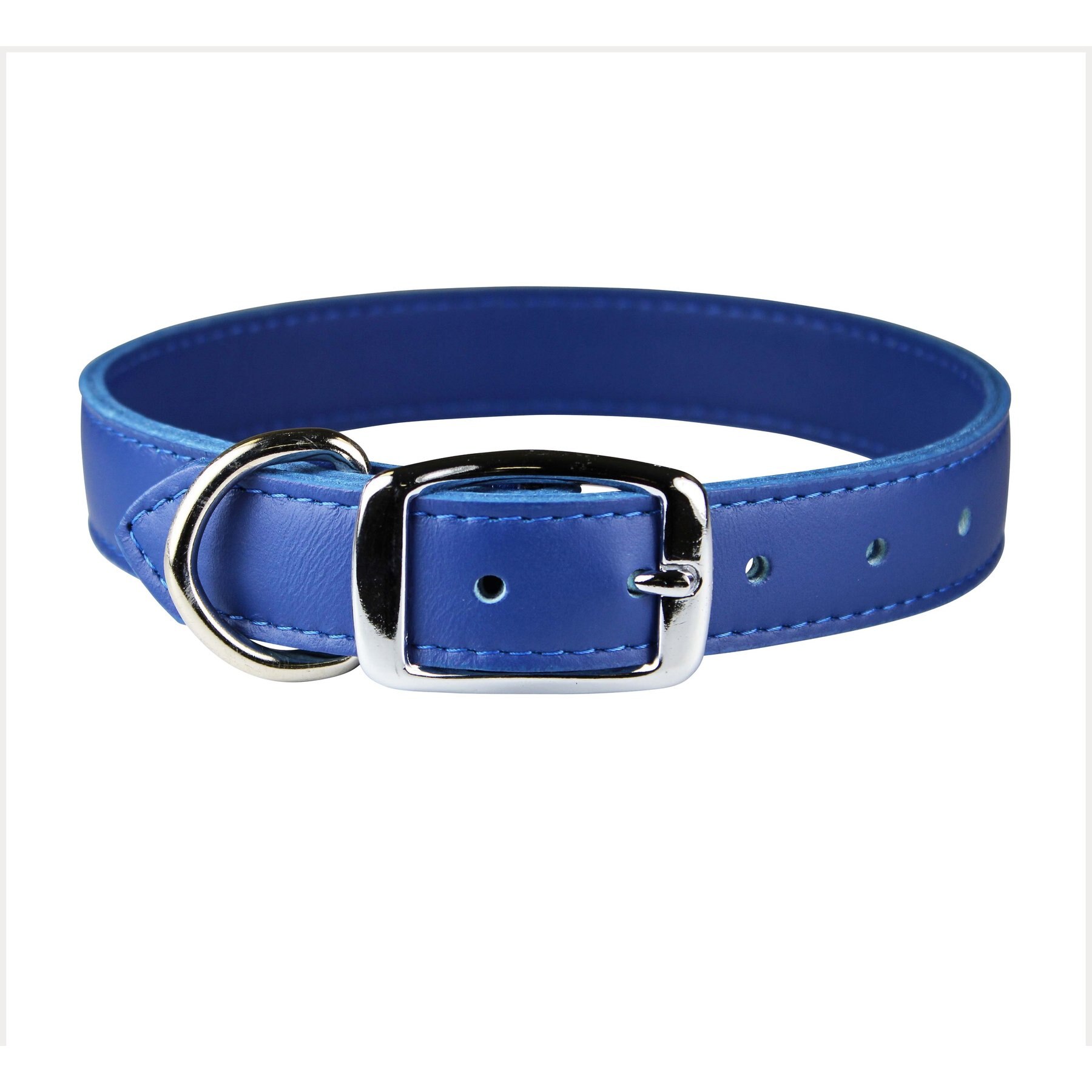 OmniPet Signature Leather Dog Collar, Blue, 22-in