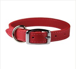 OmniPet Signature Leather Dog Collar, Red, 20-in
