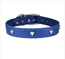 OmniPet Signature Leather Heart Dog Collar, Blue, 22-in