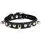 Show in main carousel: OmniPet Signature Leather Studs & Spikes Dog Collar, Black, 12-in slide 1 of 6