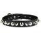 Show in main carousel: OmniPet Signature Leather Studs & Spikes Dog Collar, Black, 16-in slide 1 of 6