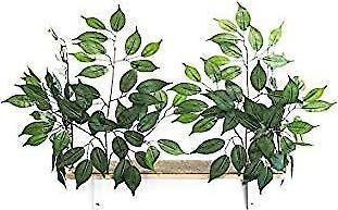 Show full view: On2Pets Cat Canopy Wall Shelves, Rectangle, 2 count slide 9 of 11